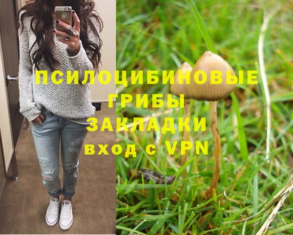 a pvp Балахна