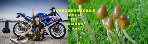ECSTASY Балабаново